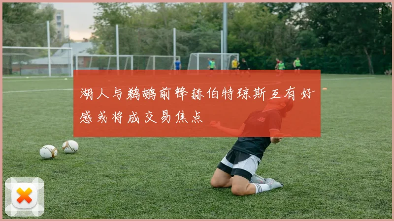 湖人与鹈鹕前锋赫伯特琼斯互有好感或将成交易焦点