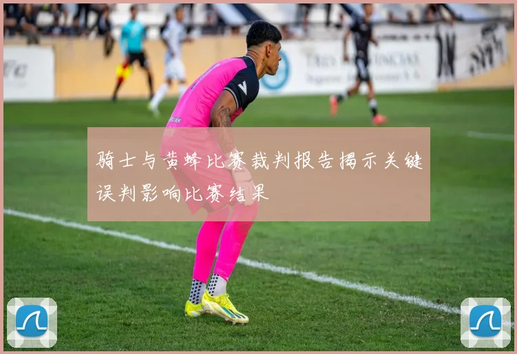 骑士与黄蜂比赛裁判报告揭示关键误判影响比赛结果