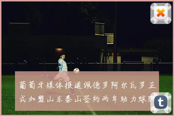 葡萄牙媒体报道佩德罗阿尔瓦罗正式加盟山东泰山签约两年助力球队发展