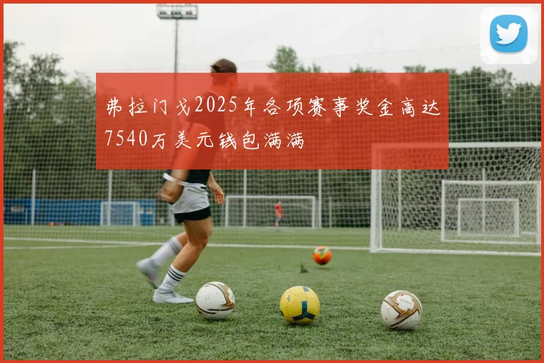 弗拉门戈2025年各项赛事奖金高达7540万美元钱包满满