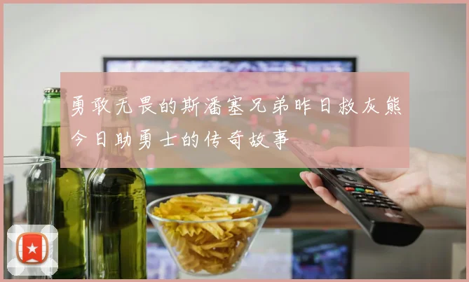 勇敢无畏的斯潘塞兄弟昨日救灰熊今日助勇士的传奇故事