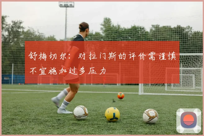 舒梅切尔：对拉门斯的评价需谨慎不宜施加过多压力