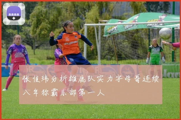 张佳玮分析雄鹿队实力字母哥连续八年称霸东部第一人