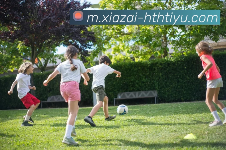 多媒体互动体验